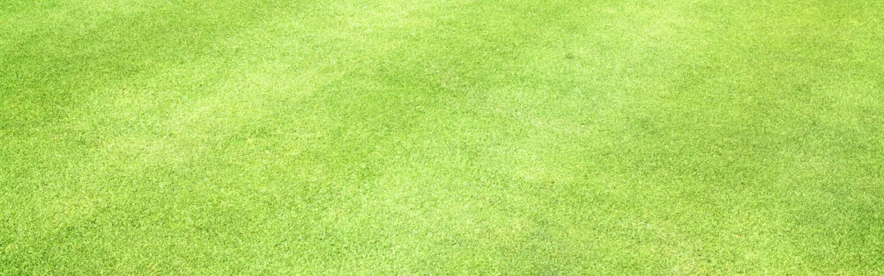 Mowing, Edging, Blowing