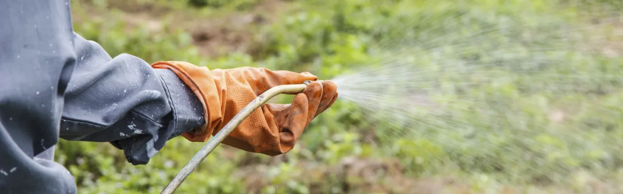 Natural Area Weed Control
